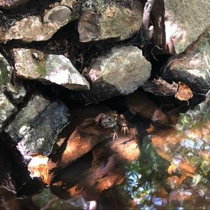 Meet your Posher, Elise